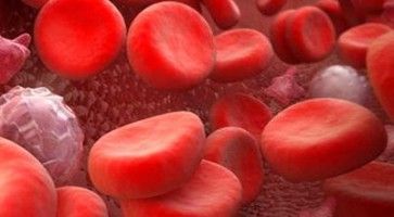 Наследственная и приобретенная патология свертывания крови - тромбозы, кровотечения: диагностика, профилактика, лечение, экономика