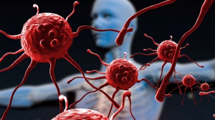 «Актуальные вопросы диагностики и лечения ВИЧ-инфекции и вирусных гепатитов»