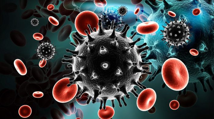 ВИЧ-инфекция, оппортунистические и социально значимые заболевания: диагностика, профилактика и лечение