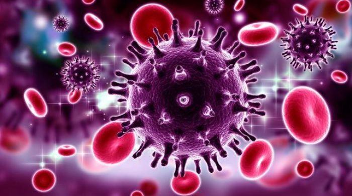 Современные аспекты профилактики, диагностики и лечения ВИЧ инфекции