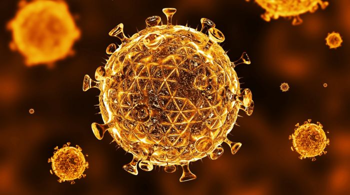 «Новые подходы к лечению ВИЧ-инфекции и хронического гепатита С»