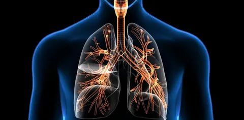 Рациональная фармакотерапия инфекционно-воспалительных заболеваний верхних и нижних дыхательных путей